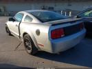 Ford Mustang Image 2