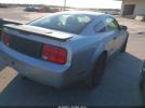 Ford Mustang Image 3