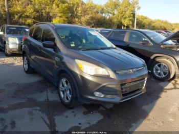  Salvage Ford Escape