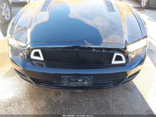 Ford Mustang Gt Premium Image 8