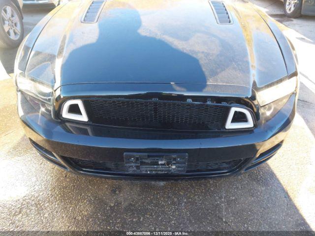 Ford Mustang Gt Premium Image 8