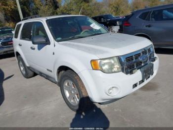  Salvage Ford Escape