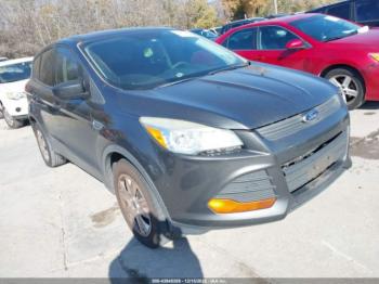  Salvage Ford Escape