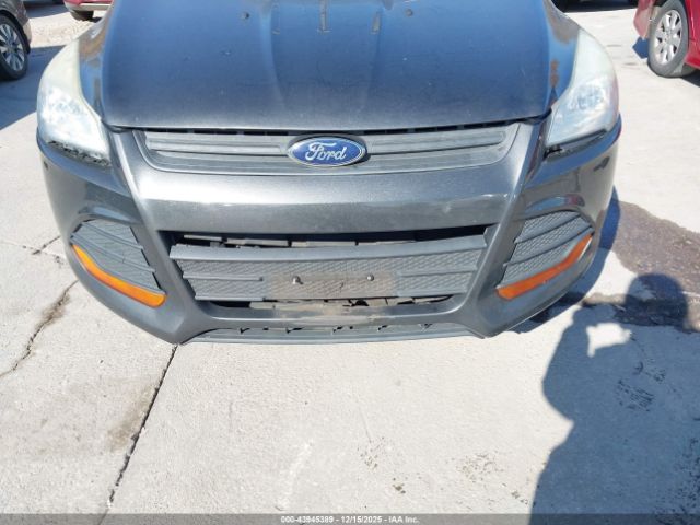 Ford Escape S Image 6