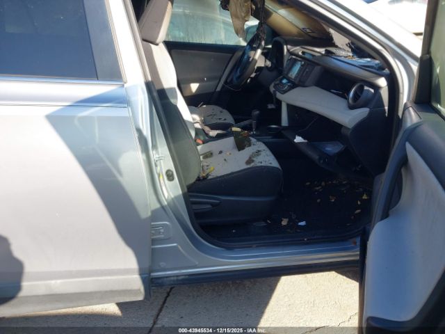 Toyota RAV4 Xle Image 10