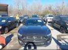 Ford Mustang Ecoboost Image 11