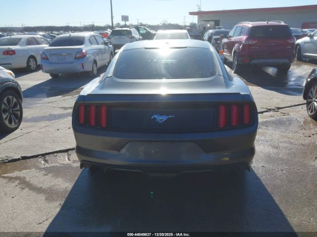 Ford Mustang Ecoboost Image 14
