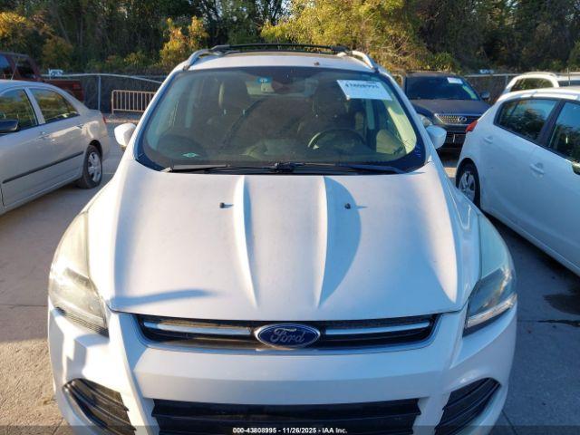 Ford Escape Titanium Image 2