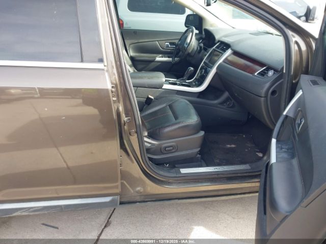 Ford Edge Limited Image 8