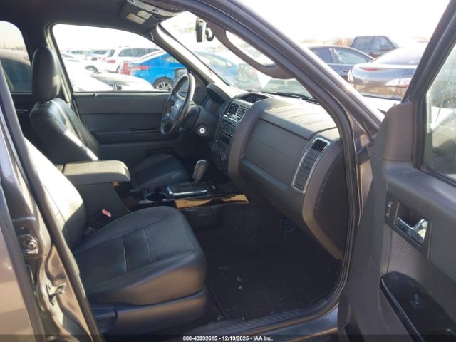 Ford Escape Limited Image 6