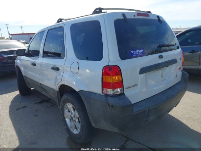 Ford Escape Xlt Image 2