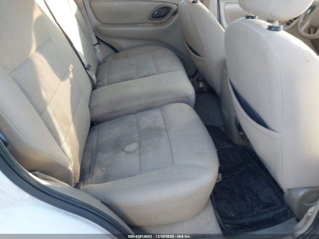 Ford Escape Xlt Image 7