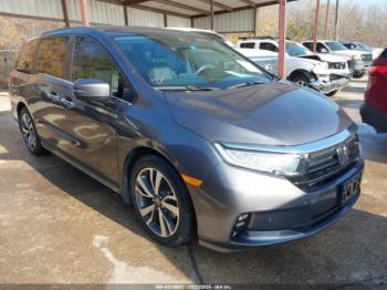  Salvage Honda Odyssey