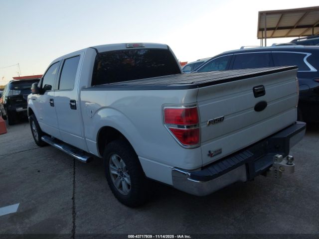 Ford F-150 Xlt Image 8