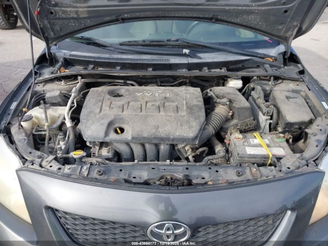 Toyota Corolla Xle Image 5