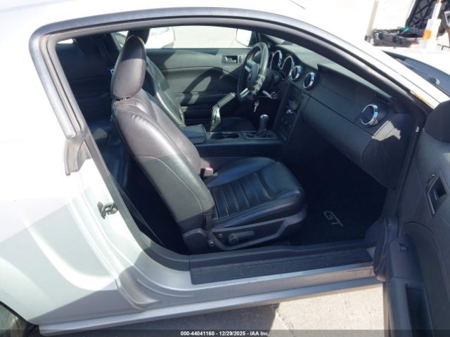 Ford Mustang Image 3