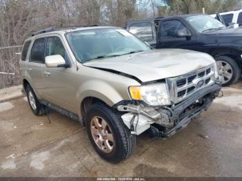  Salvage Ford Escape