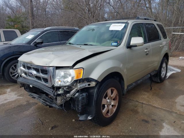 Ford Escape Limited Image 8