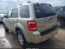 Ford Escape Limited Image 5