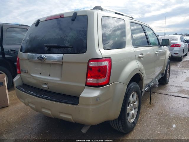 Ford Escape Limited Image 3