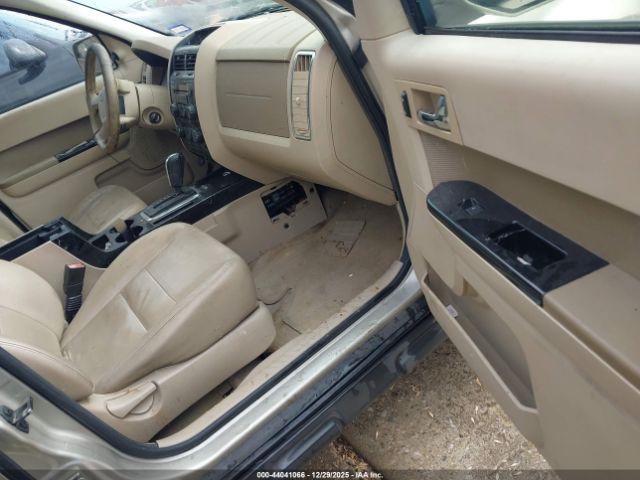 Ford Escape Limited Image 6