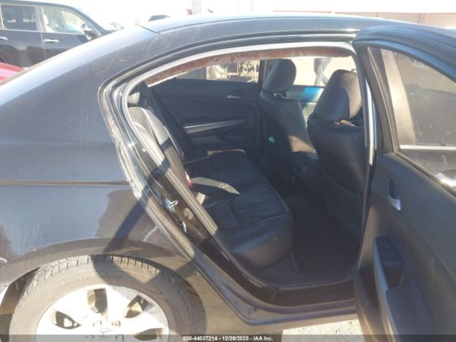 Honda Accord 3.5 Ex-l Image 7