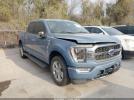 Ford F-150 Platinum Image 1