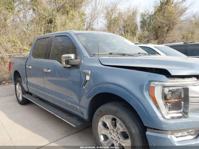 Ford F-150 Platinum Image 13