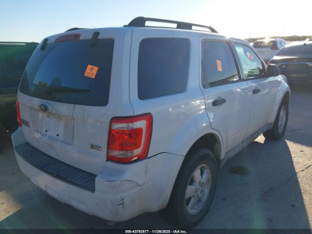 Ford Escape Xlt Image 4