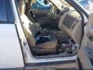 Ford Escape Xlt Image 9