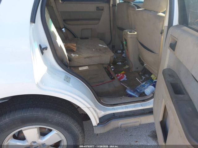 Ford Escape Xlt Image 2