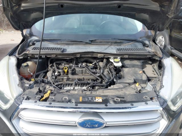 Ford Escape Titanium Image 7